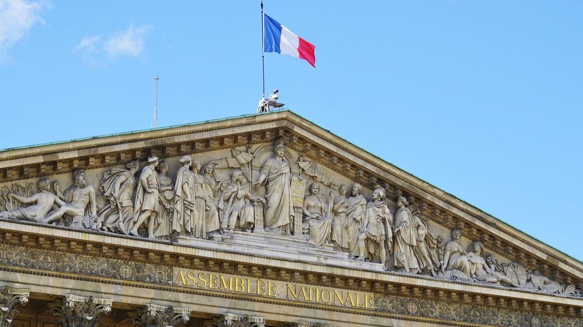 Ve Francii schválili zákon umožňující potrat do 14. týdne těhotenství